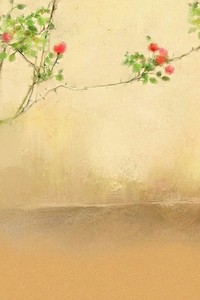 以色列选手取得男子举重金牌