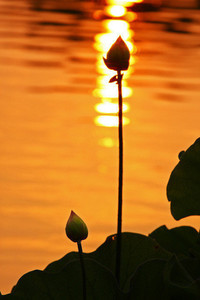 伊瓜茨轰世界波，巴拉多利德客场逆转雷加利亚