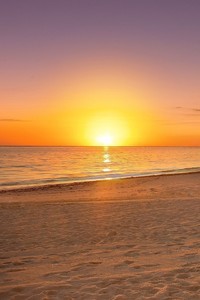 科得-波普三分球杀太阳，季后赛首轮逆转国王