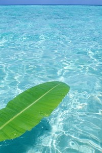 大学生篮球联赛决赛即将上演强队争夺冠军