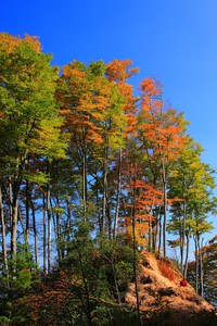 欧洲杯赛制密密麻麻，小组积分赛风云再起