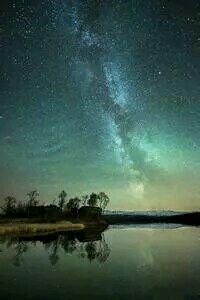 俄罗斯选手崭露头角，引发热议