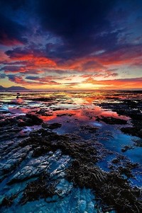 科得-波普三分球杀太阳，季后赛首轮逆转国王